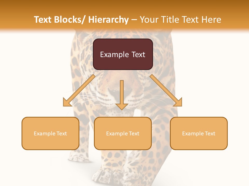 Front Animal Strength PowerPoint Template