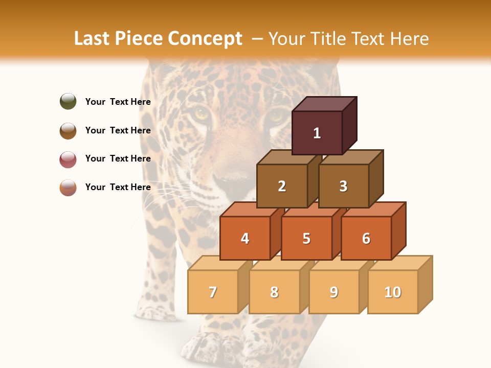 Front Animal Strength PowerPoint Template