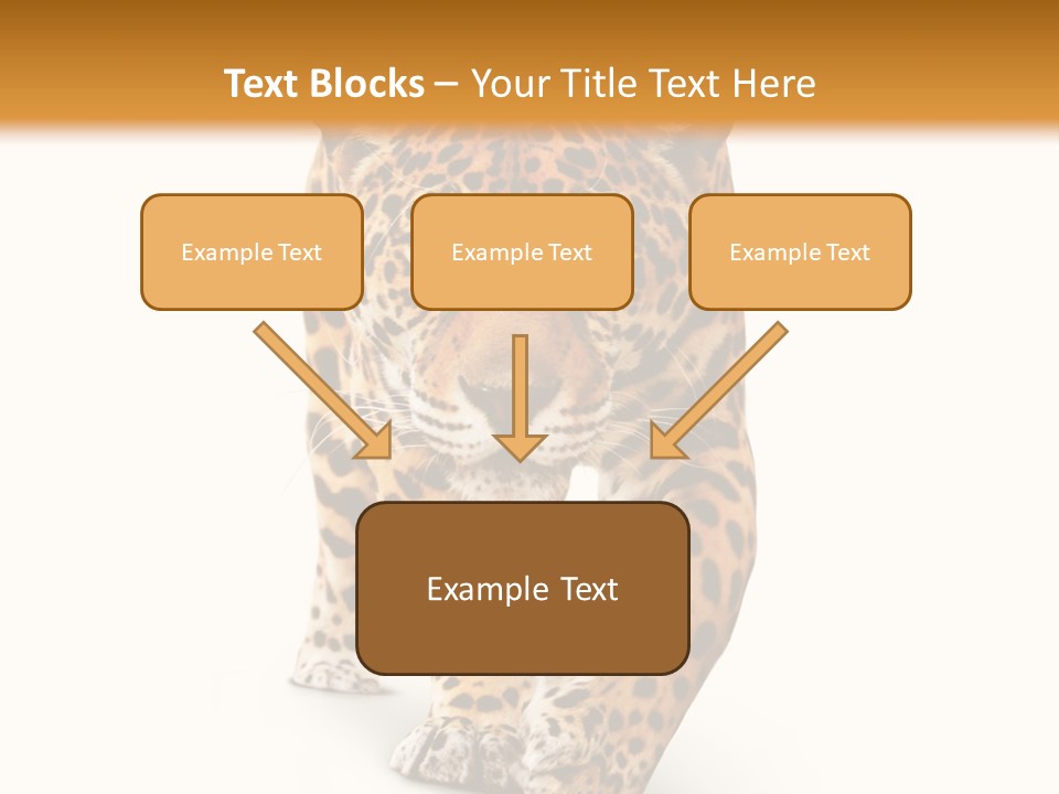Front Animal Strength PowerPoint Template