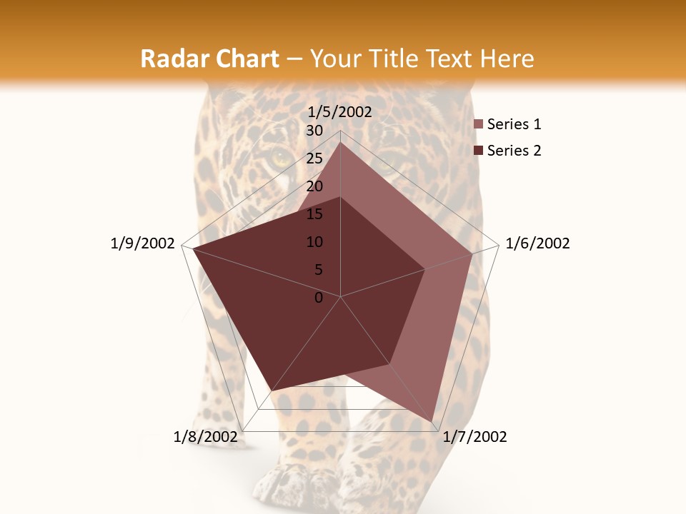 Front Animal Strength PowerPoint Template