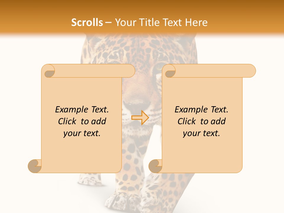 Front Animal Strength PowerPoint Template