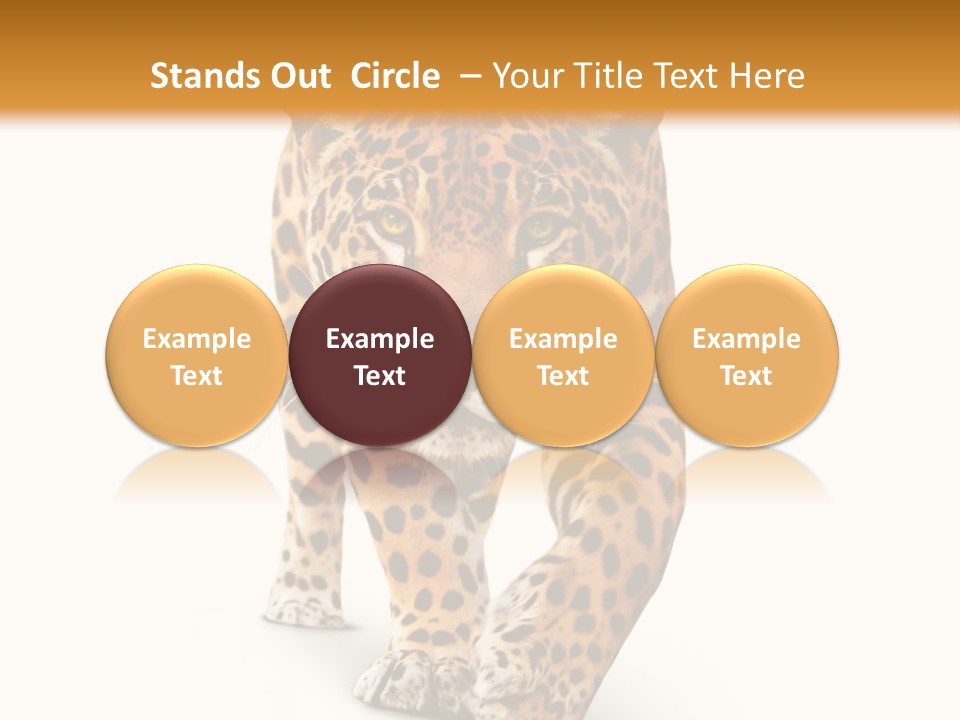 Front Animal Strength PowerPoint Template