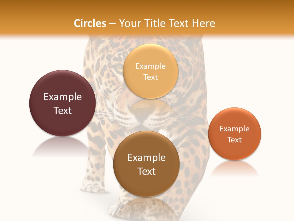 Front Animal Strength PowerPoint Template
