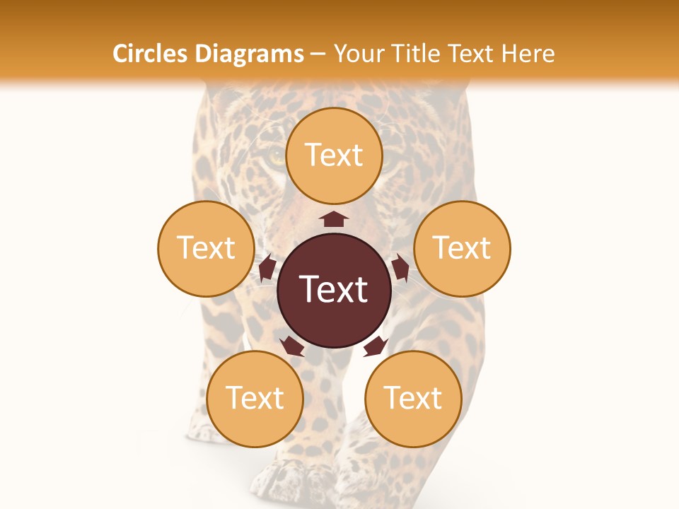 Front Animal Strength PowerPoint Template