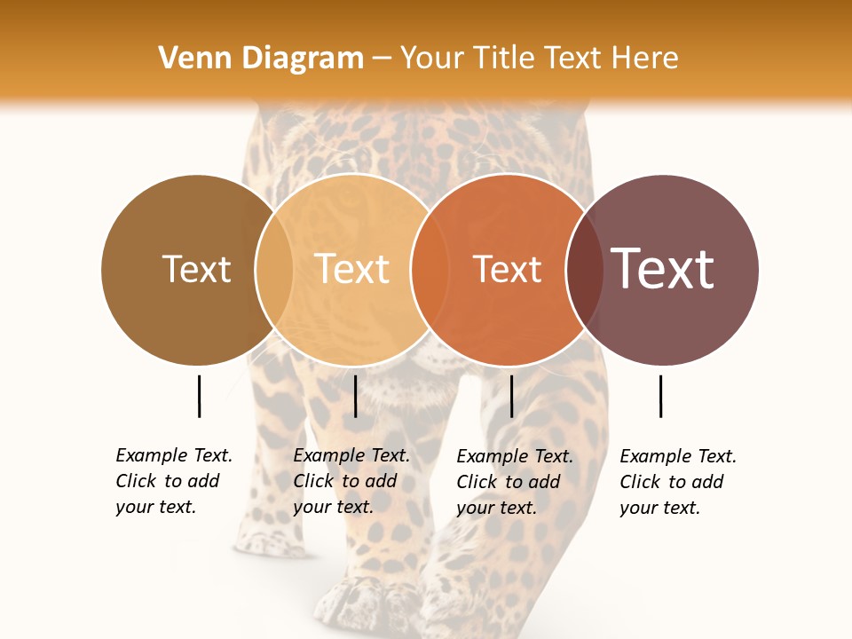 Front Animal Strength PowerPoint Template