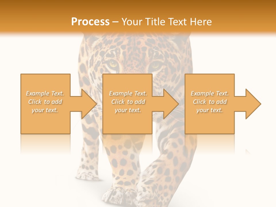 Front Animal Strength PowerPoint Template