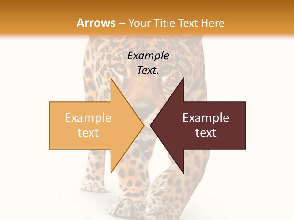 Front Animal Strength PowerPoint Template