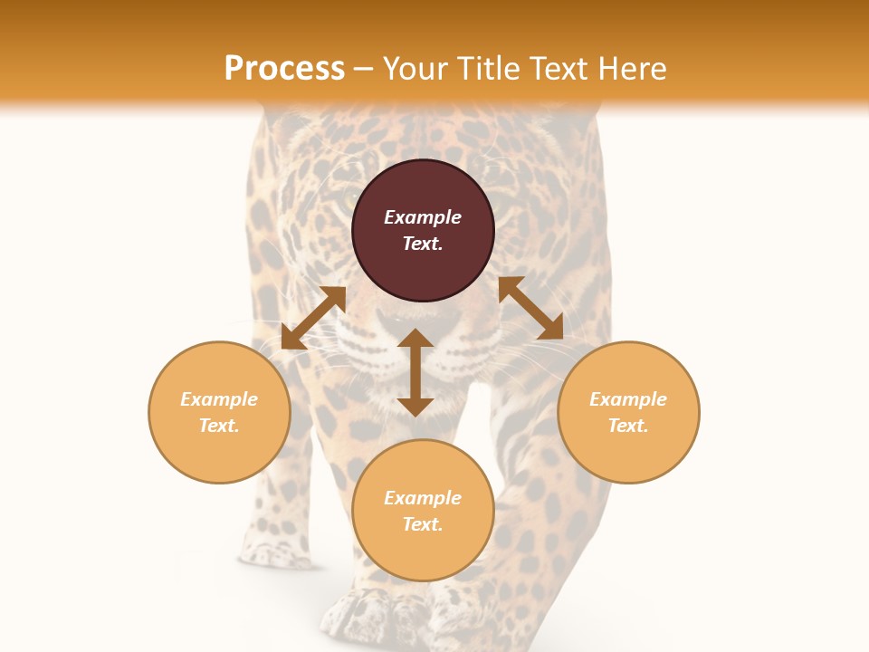 Front Animal Strength PowerPoint Template