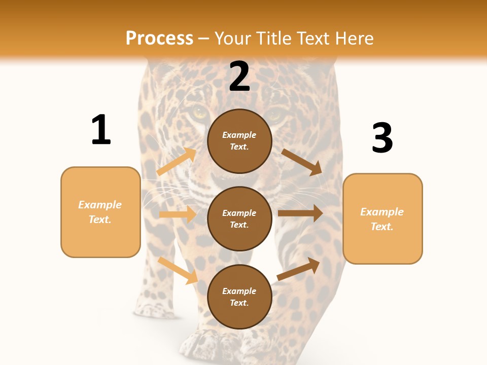 Front Animal Strength PowerPoint Template