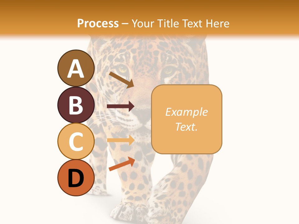 Front Animal Strength PowerPoint Template