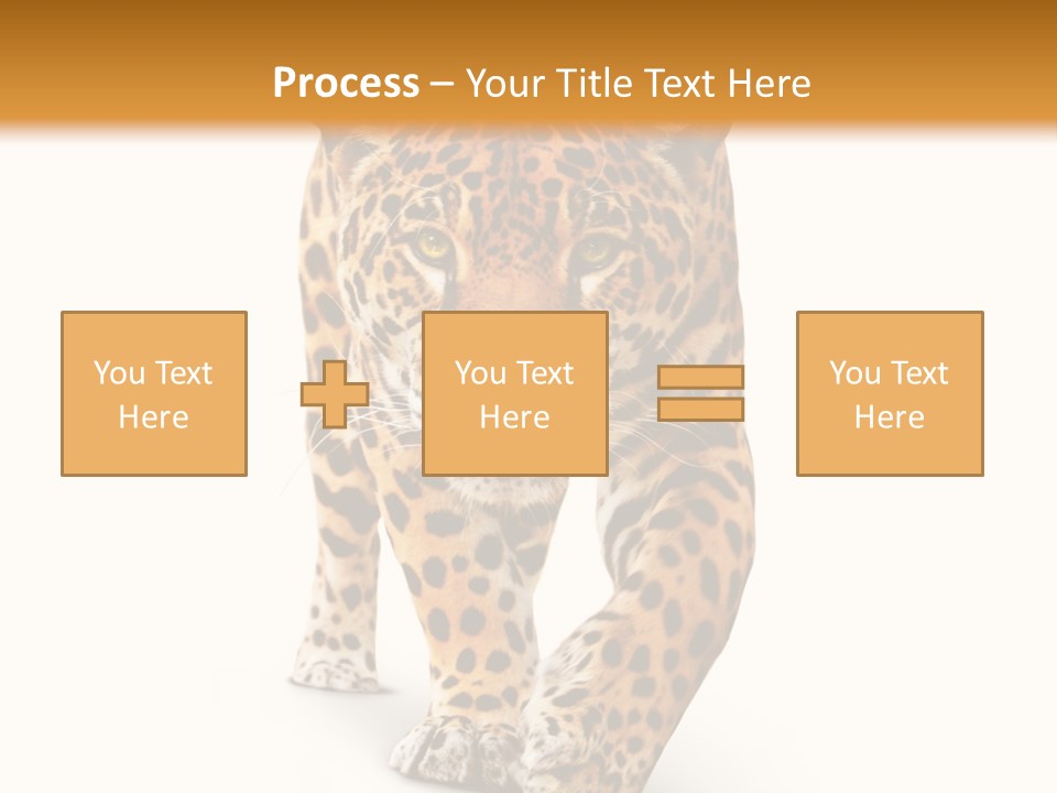 Front Animal Strength PowerPoint Template