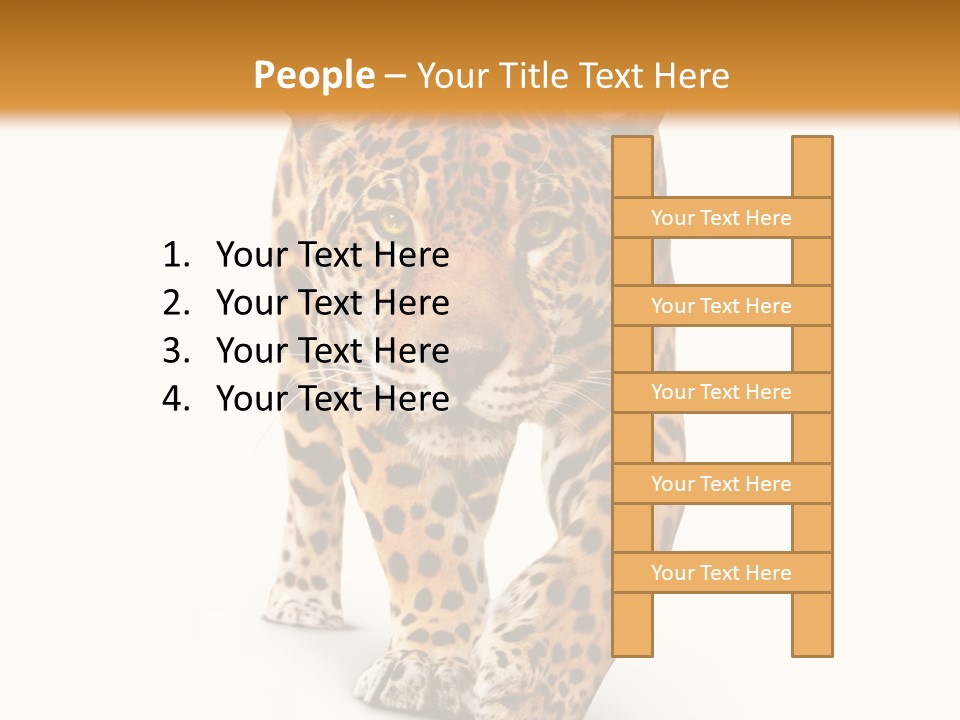 Front Animal Strength PowerPoint Template