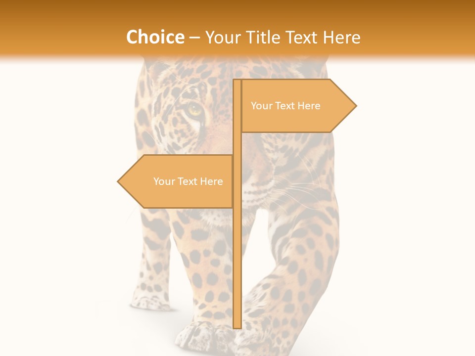 Front Animal Strength PowerPoint Template