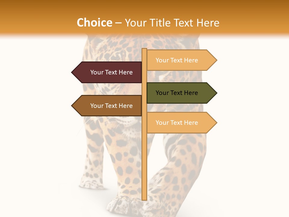 Front Animal Strength PowerPoint Template