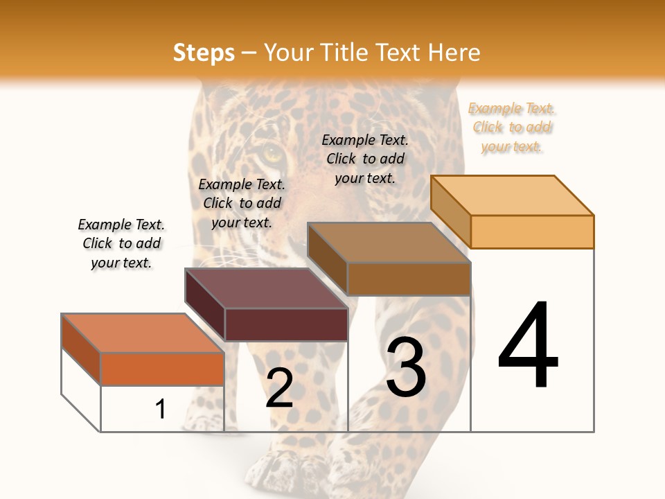 Front Animal Strength PowerPoint Template