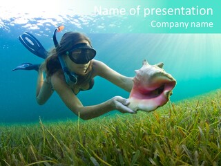 Sea Diving Souvenir PowerPoint Template