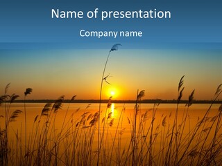 Nature Blue Beauty PowerPoint Template