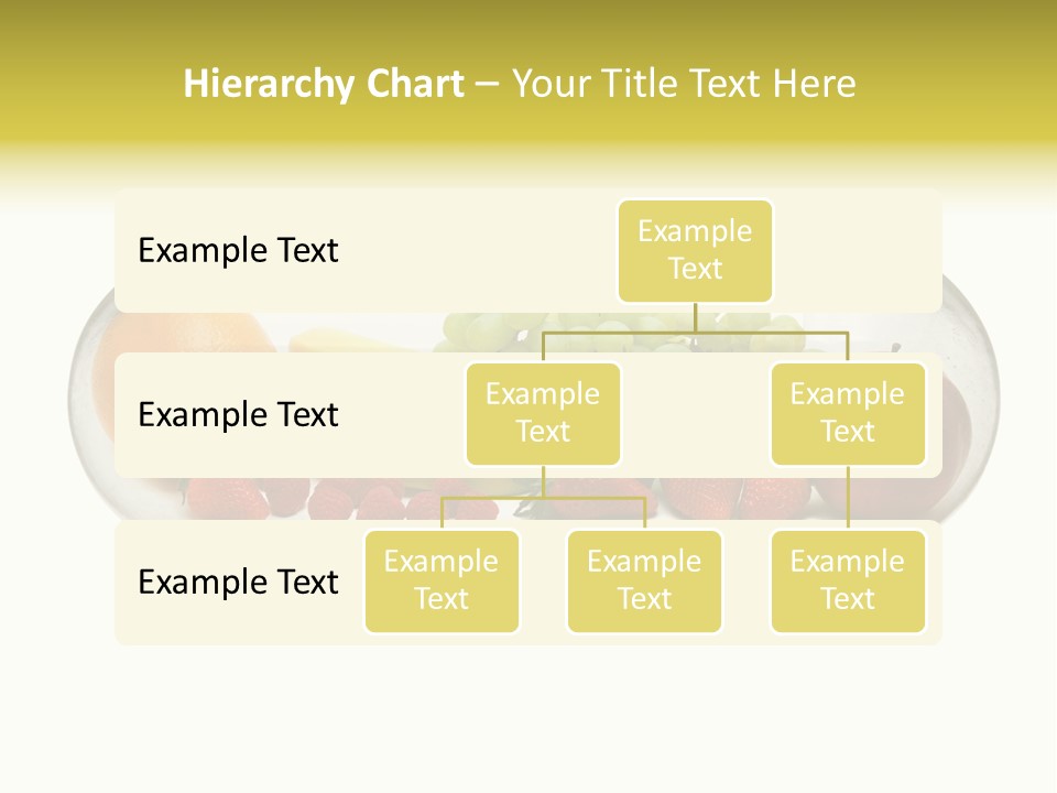 Close Up Macro Object PowerPoint Template