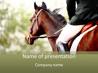 Exhibition Event Saddle PowerPoint Template