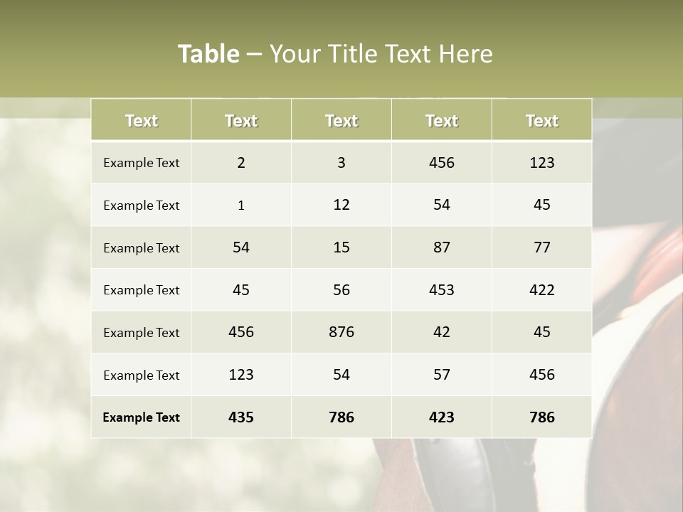 Exhibition Event Saddle PowerPoint Template
