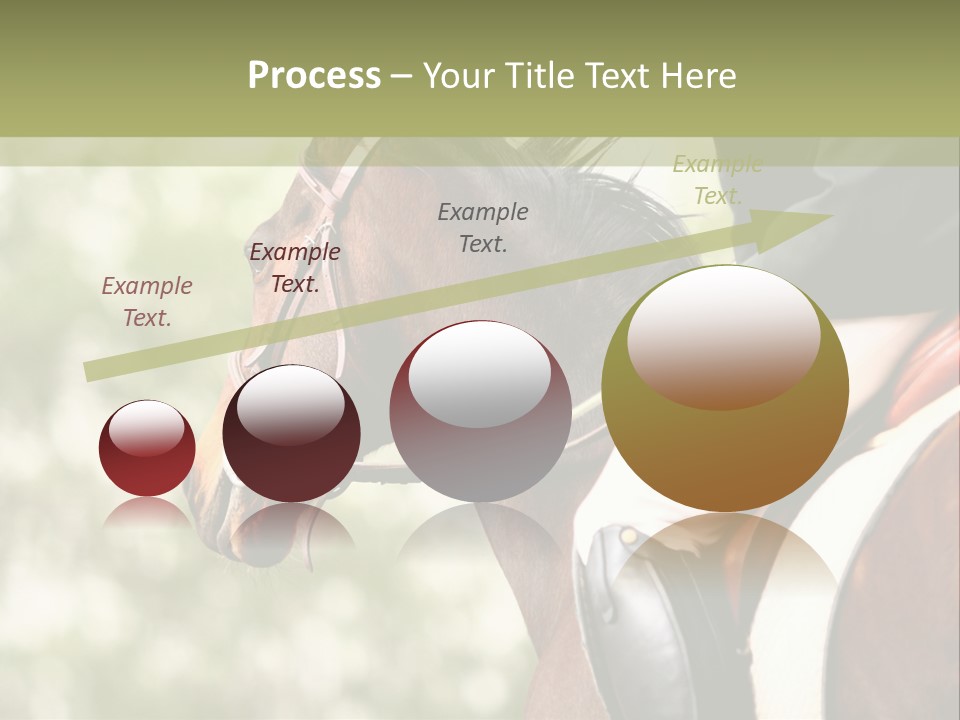 Exhibition Event Saddle PowerPoint Template