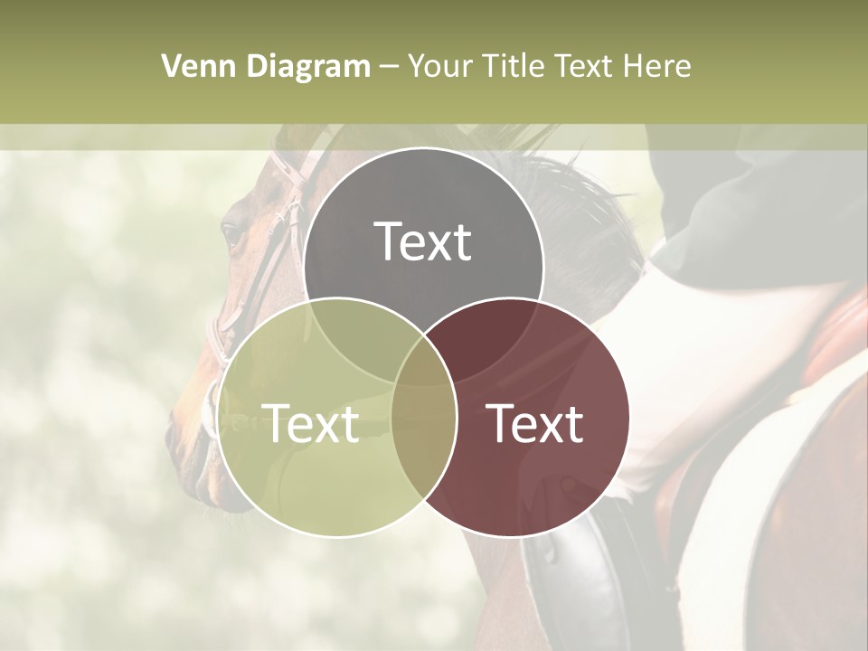 Exhibition Event Saddle PowerPoint Template