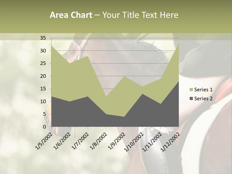 Exhibition Event Saddle PowerPoint Template