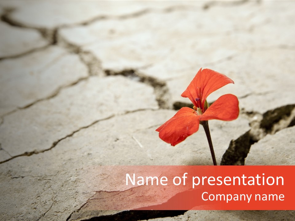 Surface Fresh Crack PowerPoint Template