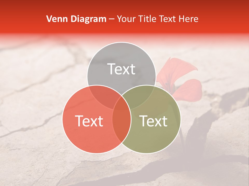 Surface Fresh Crack PowerPoint Template