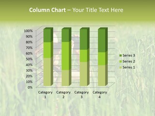 Nature Outback Camping PowerPoint Template