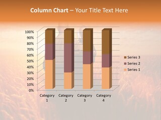 Romantic Sun Sunset PowerPoint Template