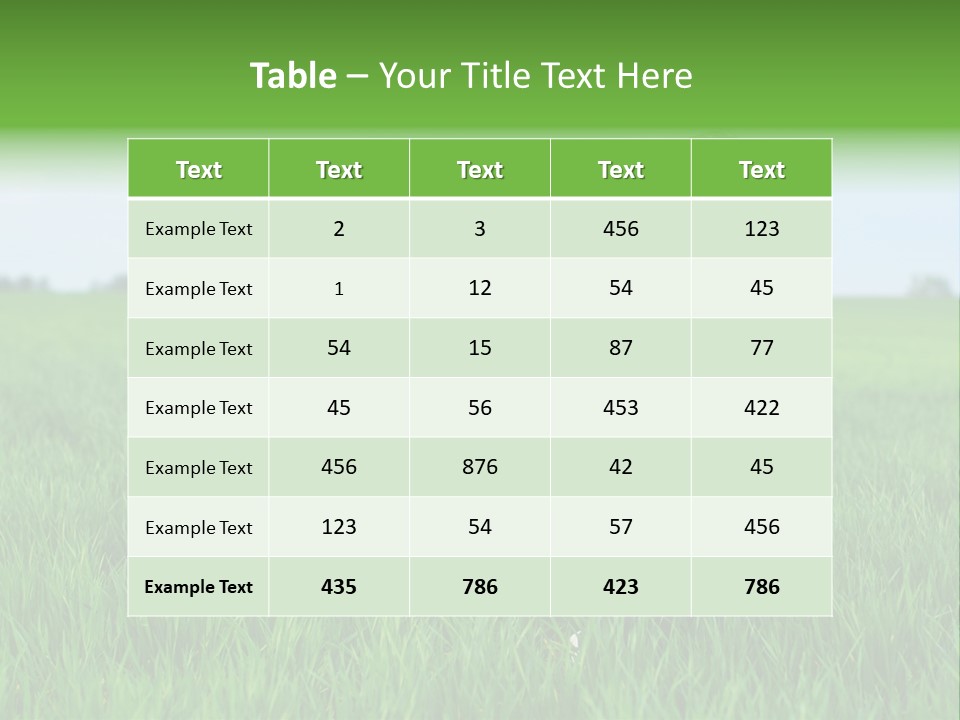 Having Happy Beauty PowerPoint Template