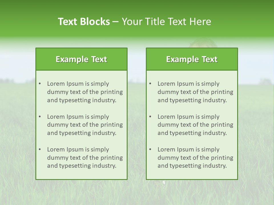 Having Happy Beauty PowerPoint Template