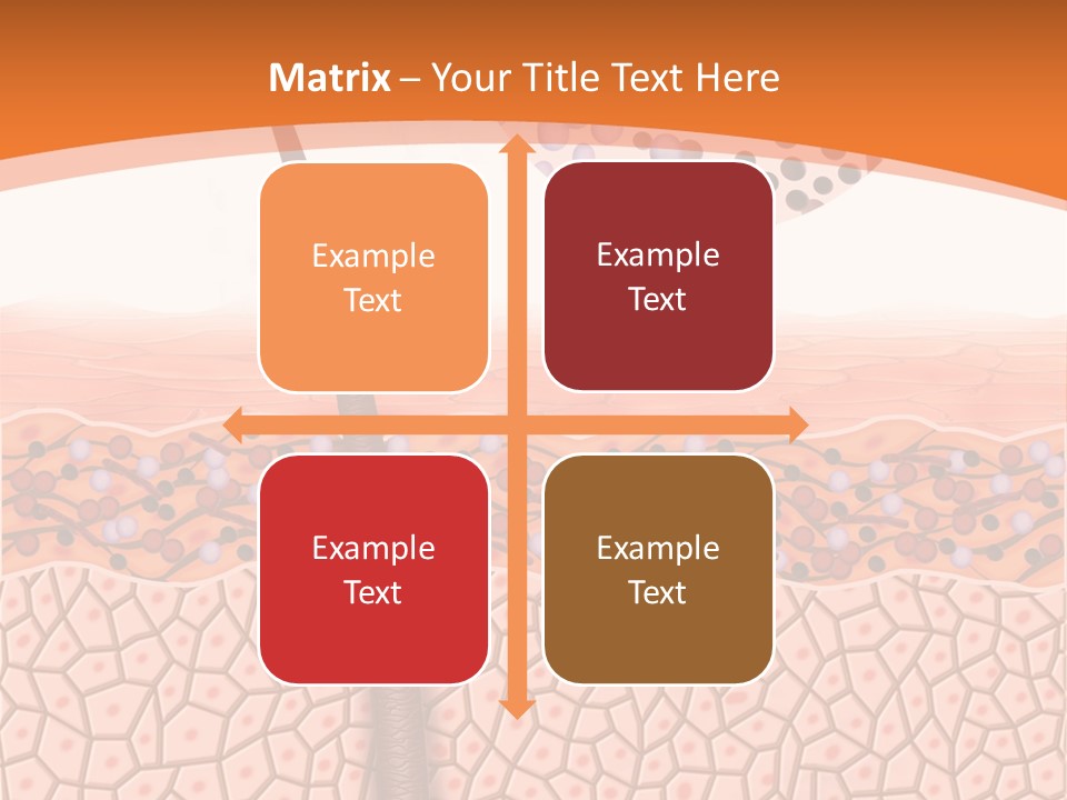 Blood Health Skin PowerPoint Template