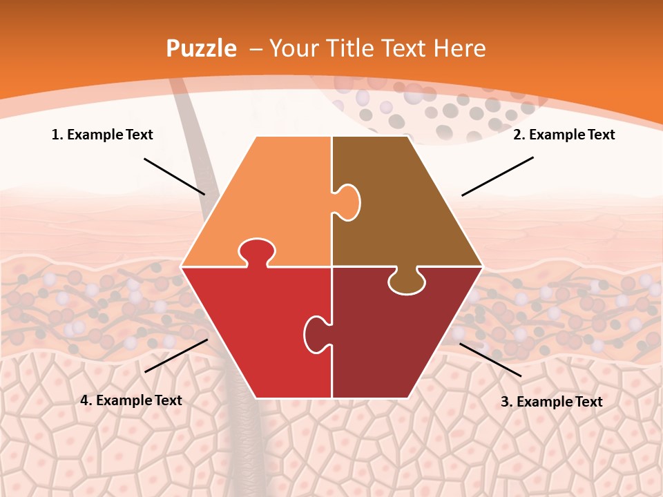Blood Health Skin PowerPoint Template