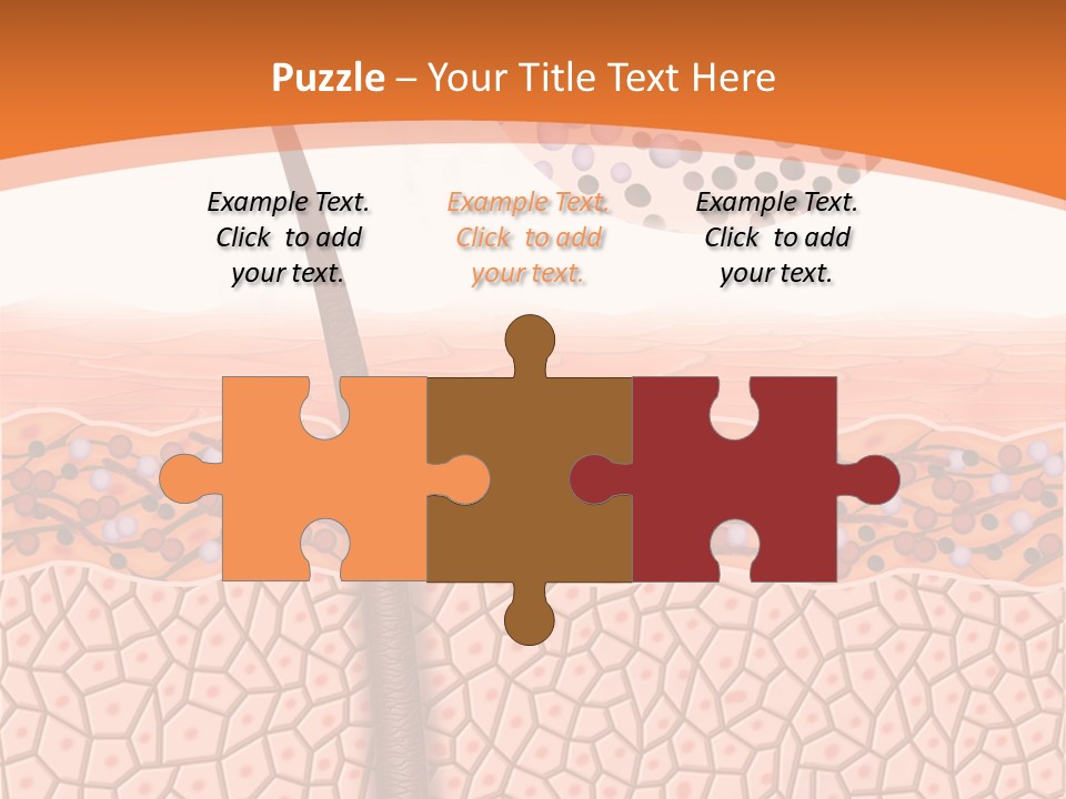 Blood Health Skin PowerPoint Template