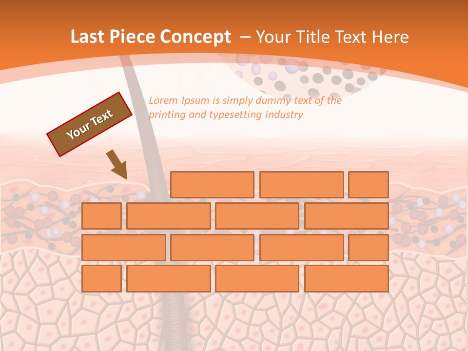 Blood Health Skin PowerPoint Template
