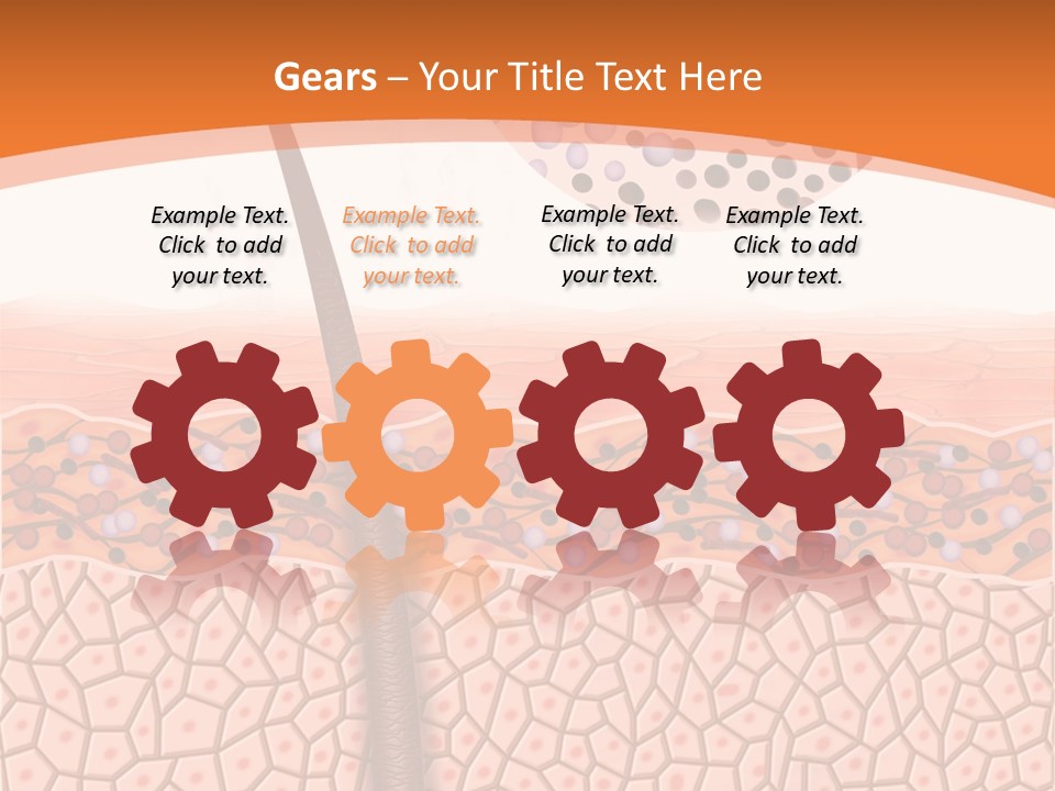 Blood Health Skin PowerPoint Template
