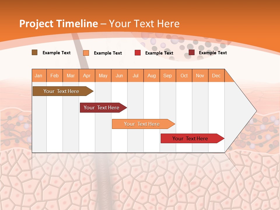 Blood Health Skin PowerPoint Template