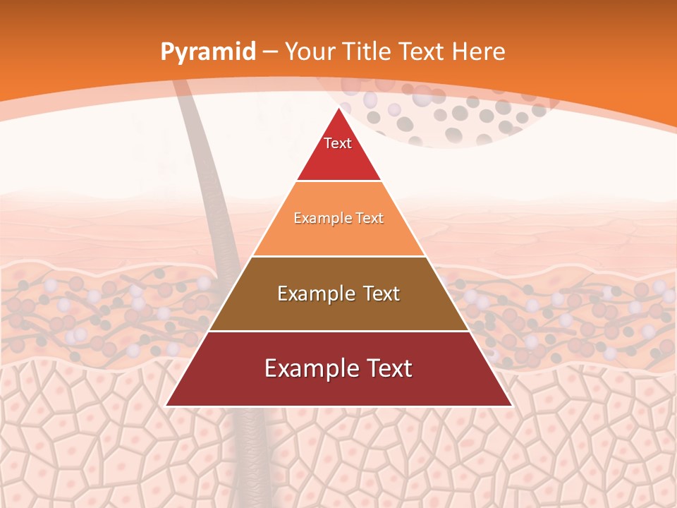 Blood Health Skin PowerPoint Template