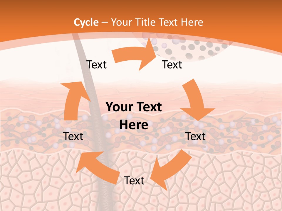 Blood Health Skin PowerPoint Template