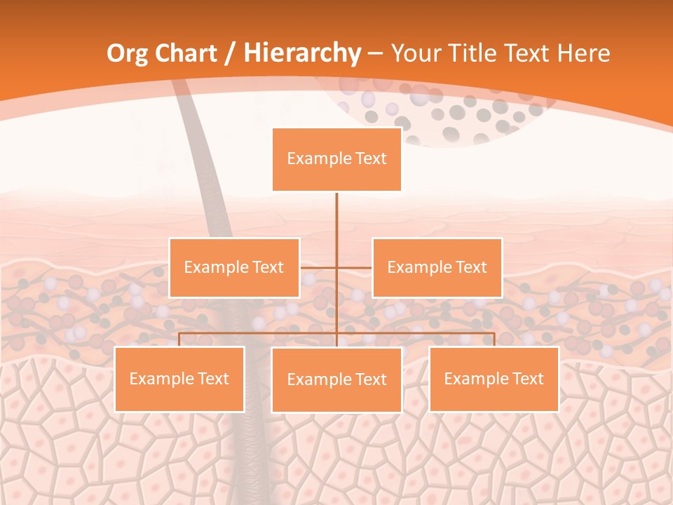 Blood Health Skin PowerPoint Template