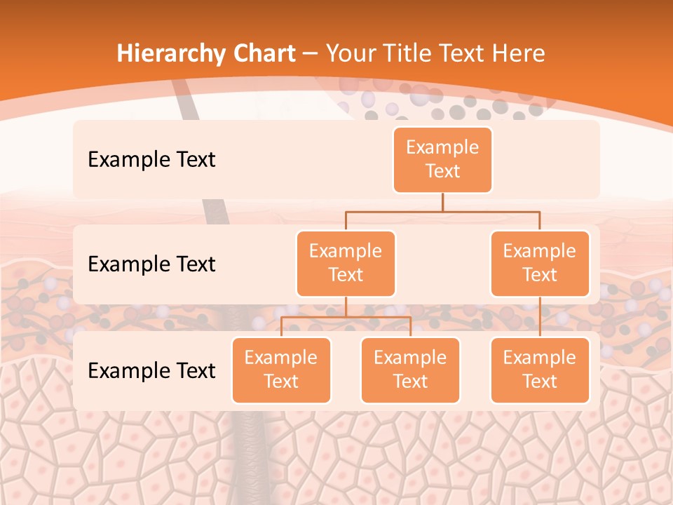 Blood Health Skin PowerPoint Template
