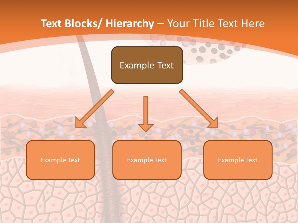 Blood Health Skin PowerPoint Template