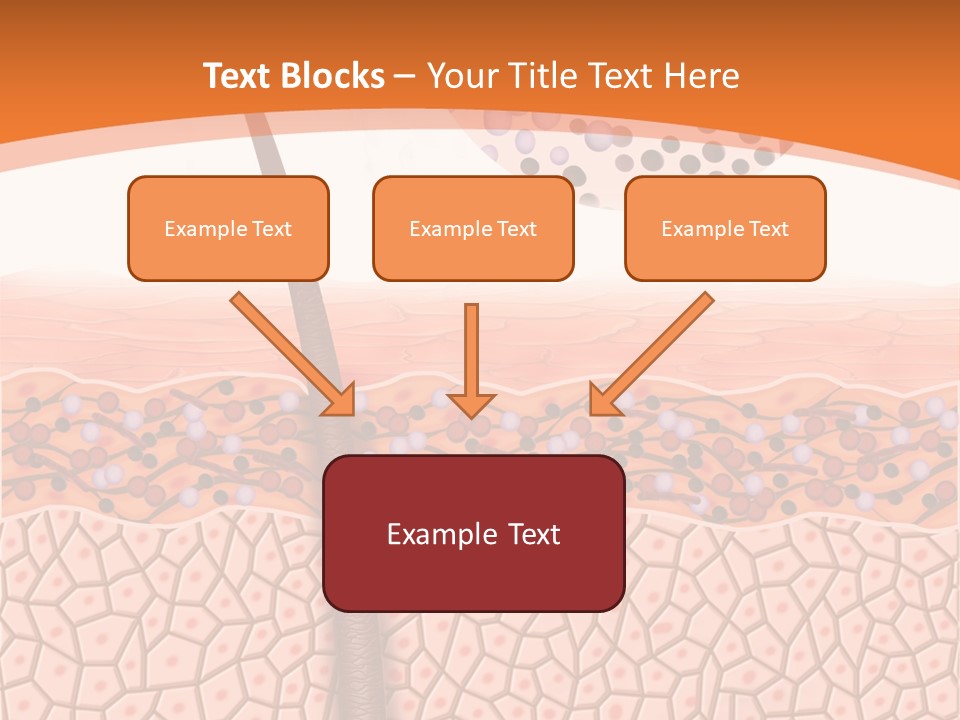 Blood Health Skin PowerPoint Template