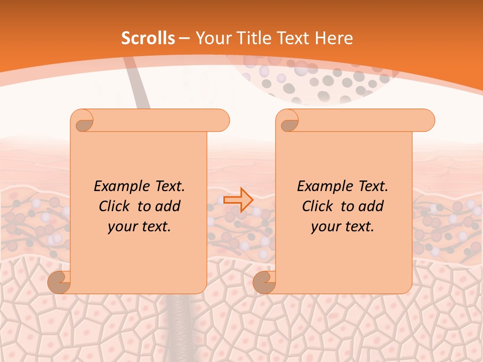 Blood Health Skin PowerPoint Template