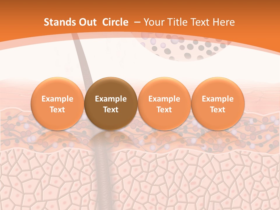 Blood Health Skin PowerPoint Template