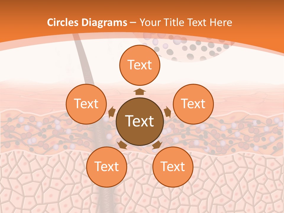 Blood Health Skin PowerPoint Template