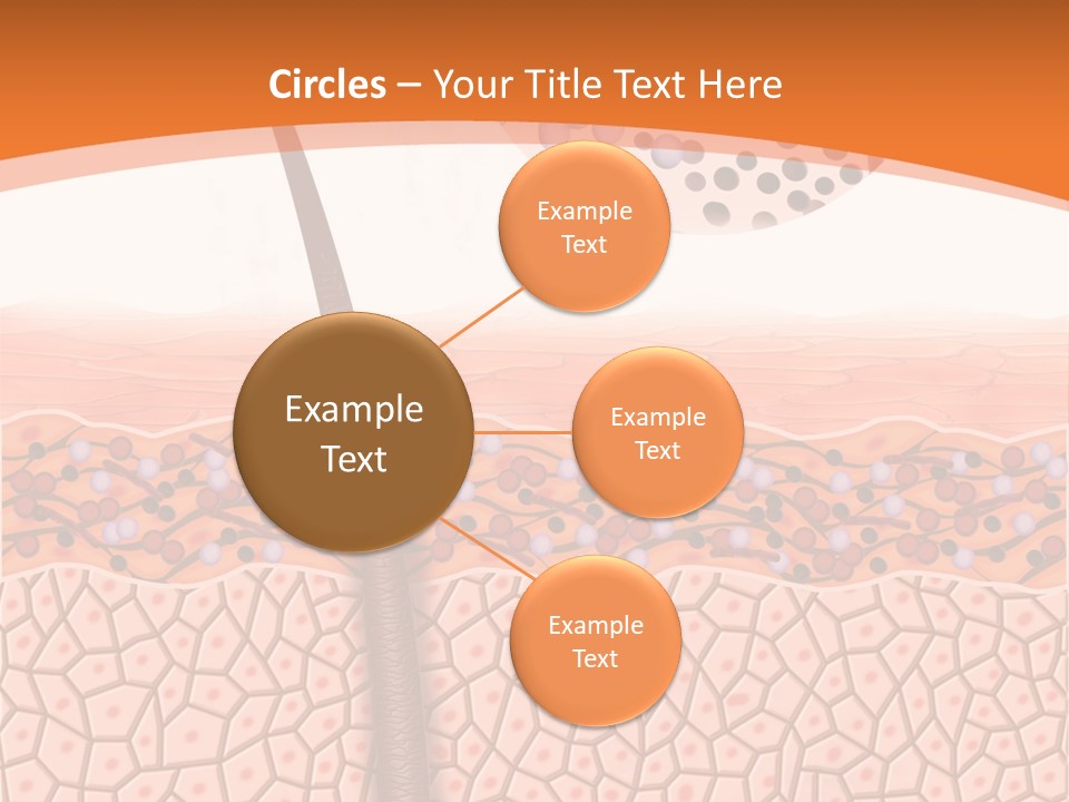 Blood Health Skin PowerPoint Template