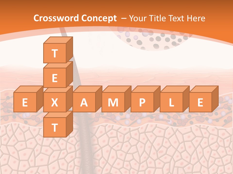 Blood Health Skin PowerPoint Template